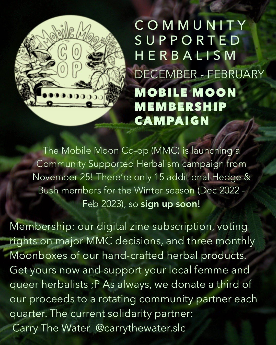 Community Supported Herbalism