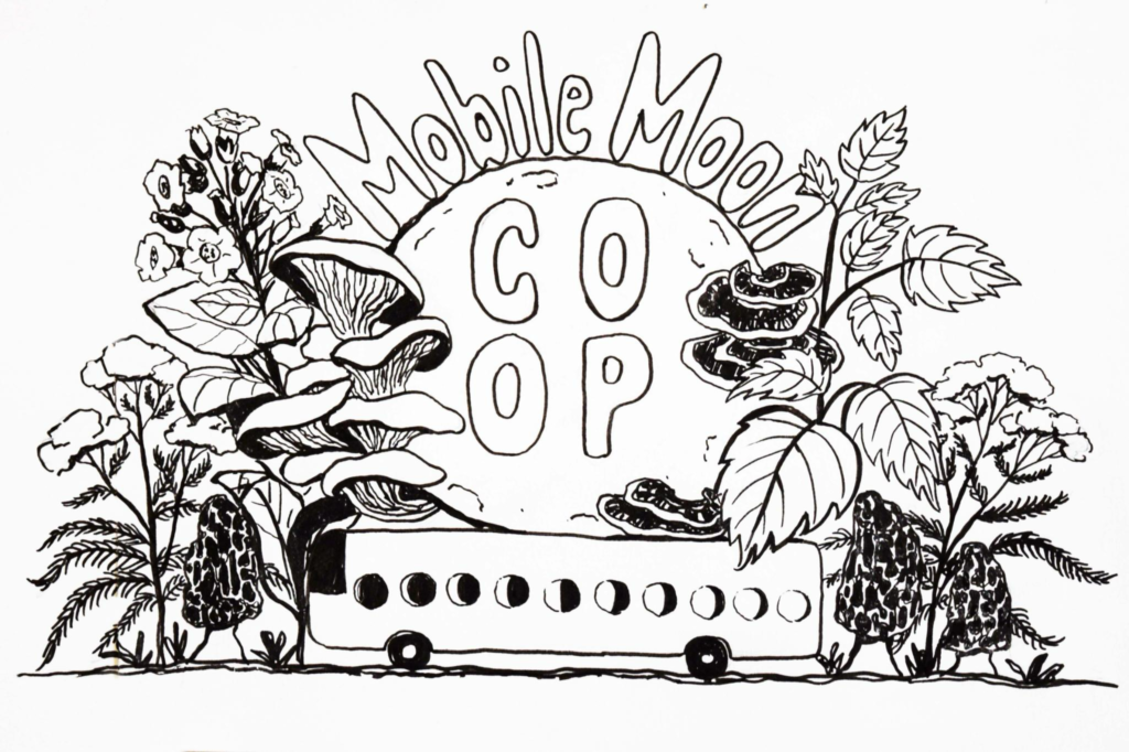 mobile moon co-op website